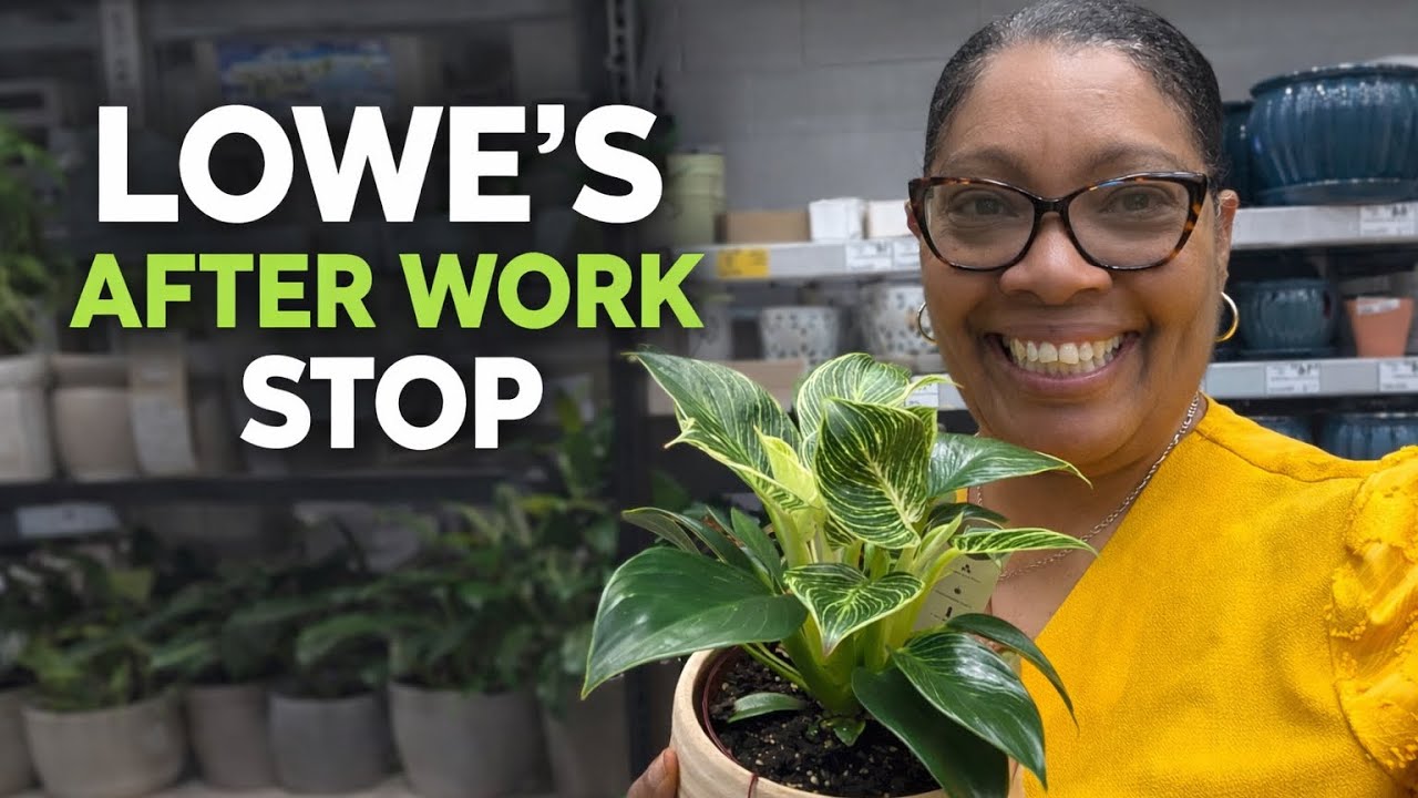 Lowe's Shop with me 