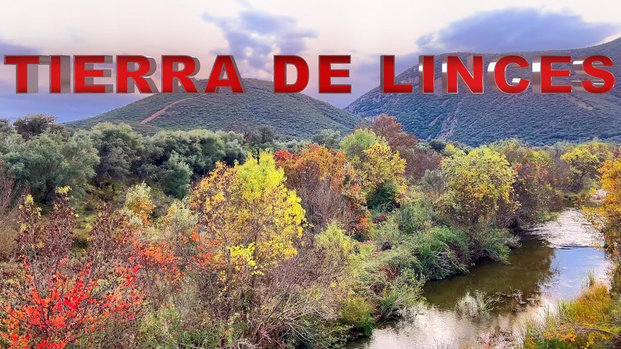 TIERRA DE LINCES. DE DESPEÑAPERROS A VALLE DE ALCUDIA EN MOTO.