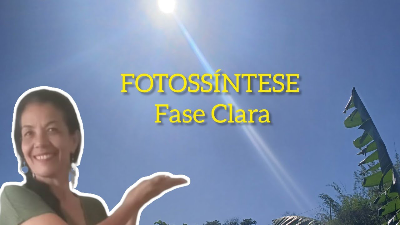 FOTOSSÍNTESE- Fase Clara