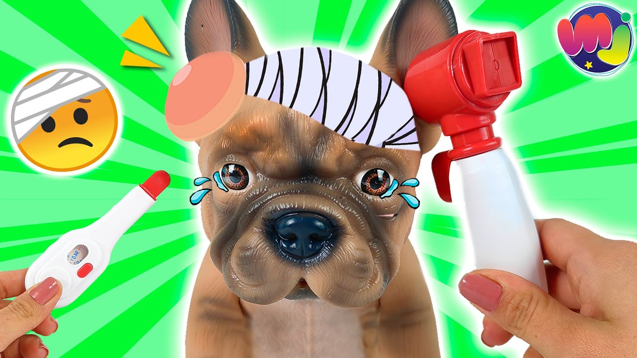 Mi PERRO VISITA al VETERINARIO 🐶  &iexcl;Est&aacute; ENFERMO! &iexcl;CUIDANDO a CACHORROS! 🌡️