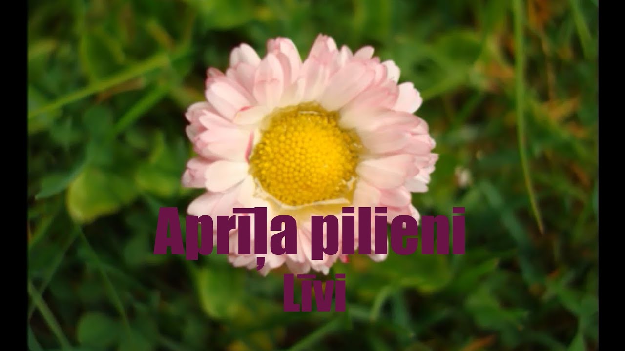 Aprīļa pilieni - Līvi