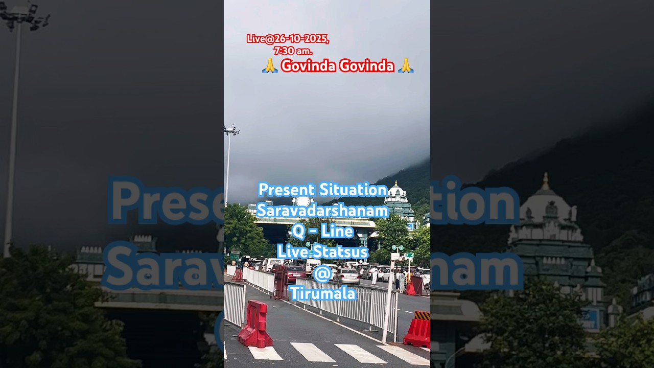 Tirumala Sarvadarshanam live Status update | #ssd #ssdtokens #darshan #tirumala #tirupati #govinda