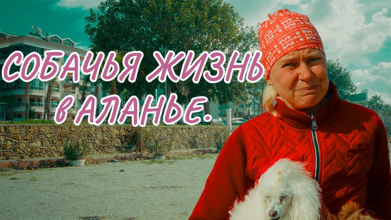 Собачья жизнь в Аланье. Знакомство на набережной в Оба.