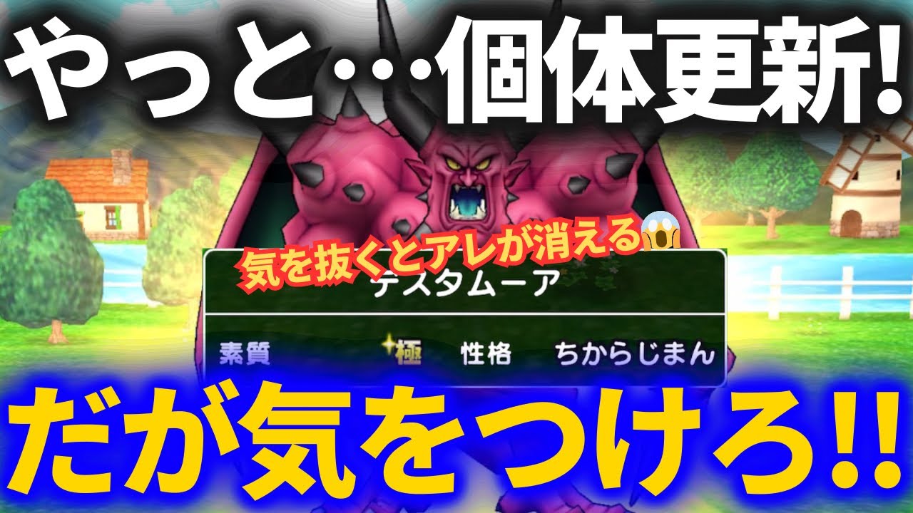 【ドラクエウォーク】やっと個体更新きた！！その時に気をつけるべきこと！【なかまモンスター】