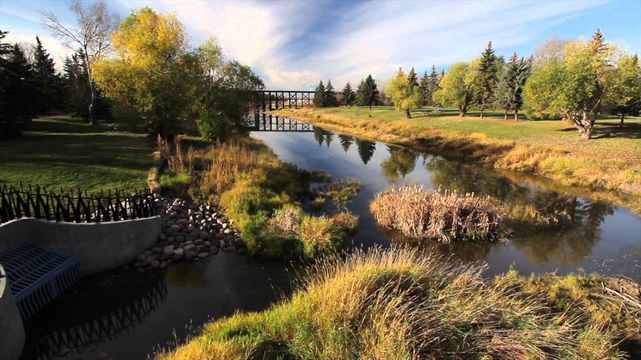 A Year in St. Albert