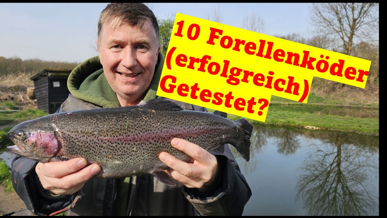 10 Forellenköder. Was fängt am besten?