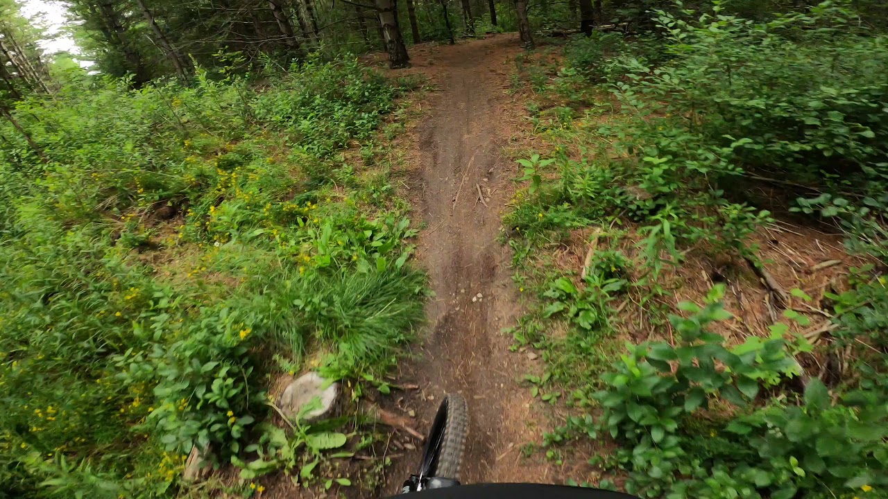 Phoenix (Full Trail)  | Guelph Lake GORBA Trails | MTB