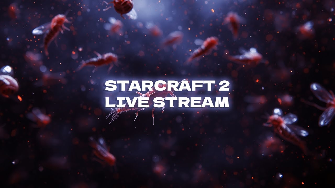 LIVE: StarCraft 2 - 2v2 - Asia Server (Feb 08, 2026)
