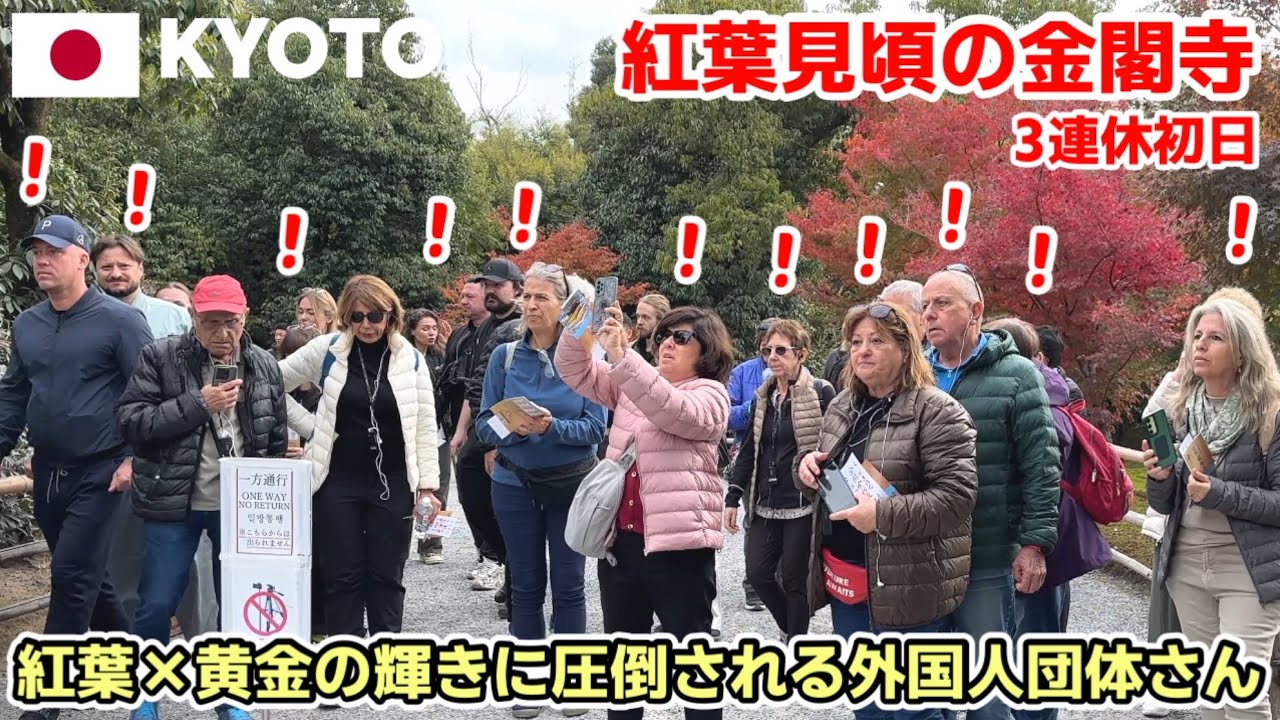【海外の反応】外国人団体さんが押し寄せる! 紅葉の金閣寺が“想像以上”に美しい 3連休初日