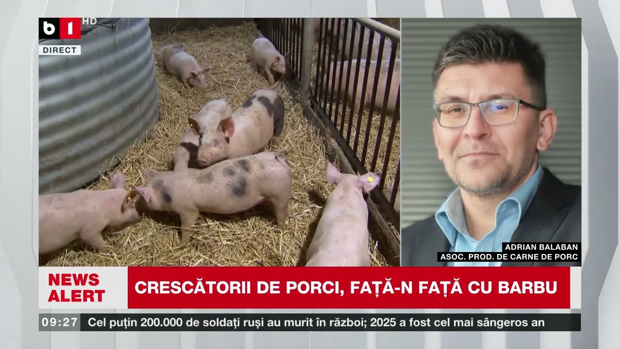 Crescatorii de porci sunt intr-o situatie dificila.