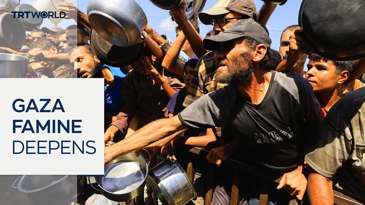 Global hunger monitor confirms there is famine in Gaza City
