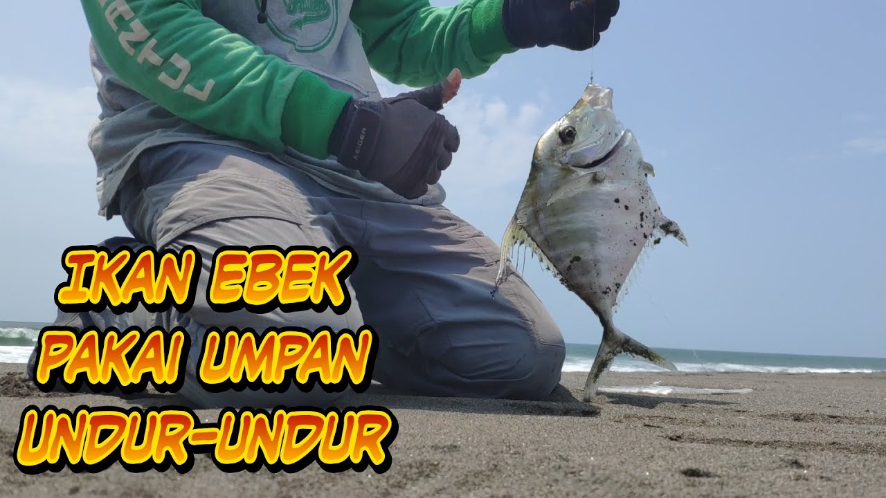 Mancing Pinggiran Dapat Ikan Ebek