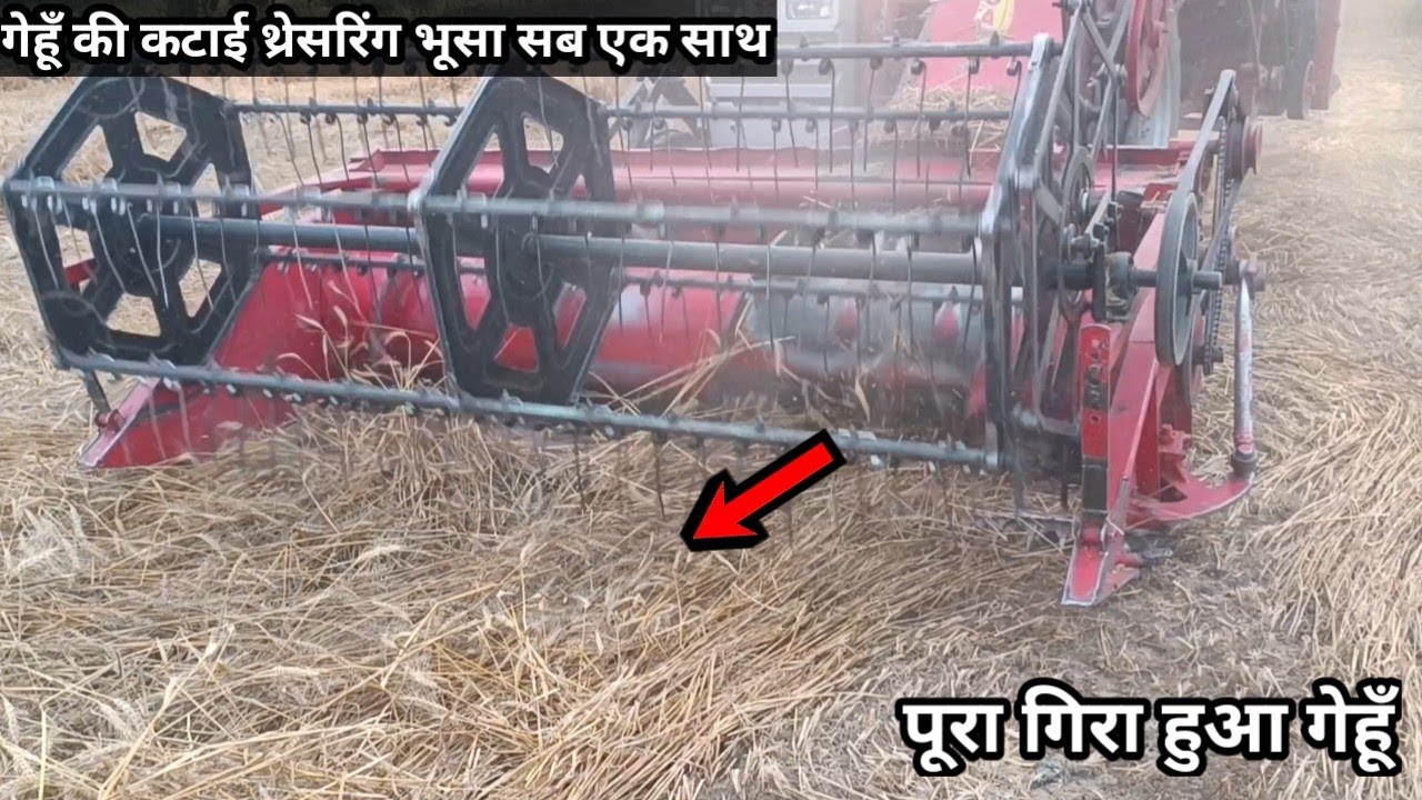 पूरा गिरा गेहूँ को कैसे काटेगी मिनी हार्वेस्टर Satnam Mini Horvester 