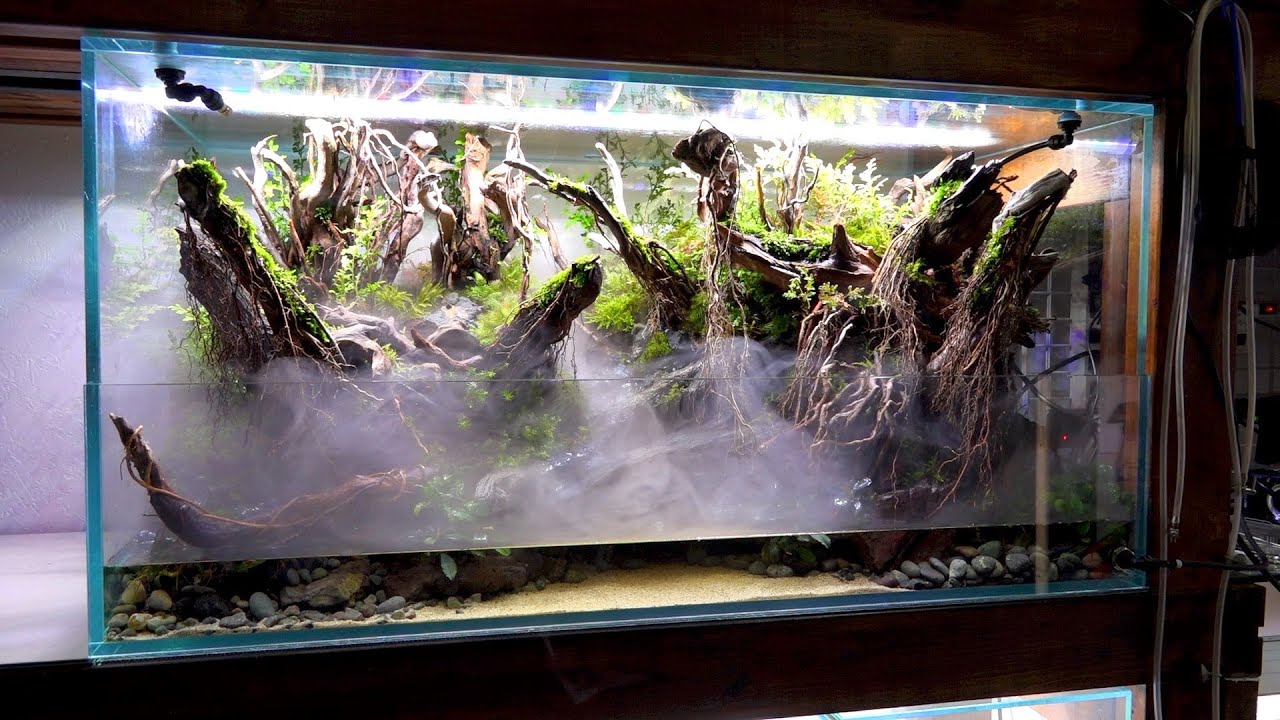水草水槽を改造して霧が立ち込める太古の原生林を作る。世界レベルの極上アクアテラリウムに挑戦