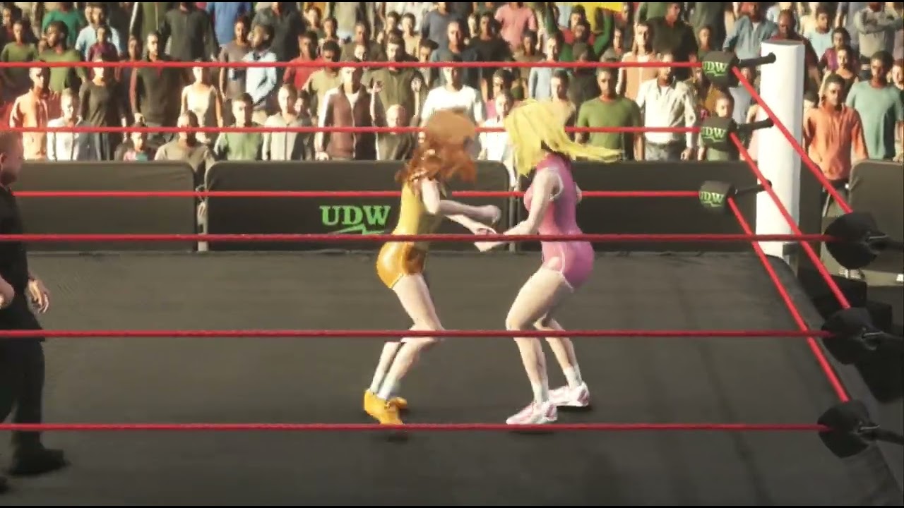 Princess Peach vs. Princess Daisy, Submission (Request)