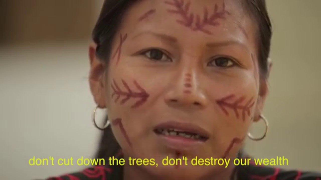 A message to the world leaders from the Amazon