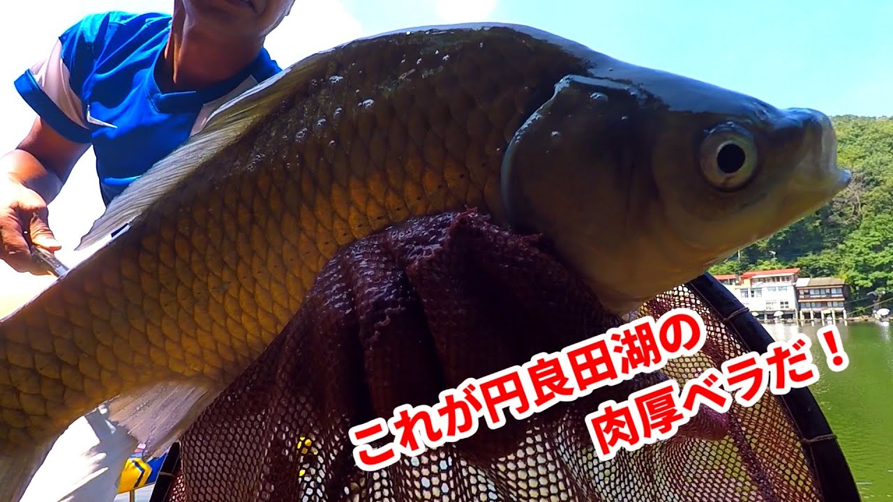 晩夏の円良田湖をヒゲトロセットで挑む！