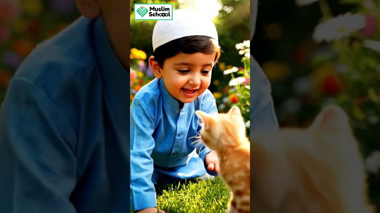 A kids playing With A CAT | Kids Animated Video | Muslim  kids