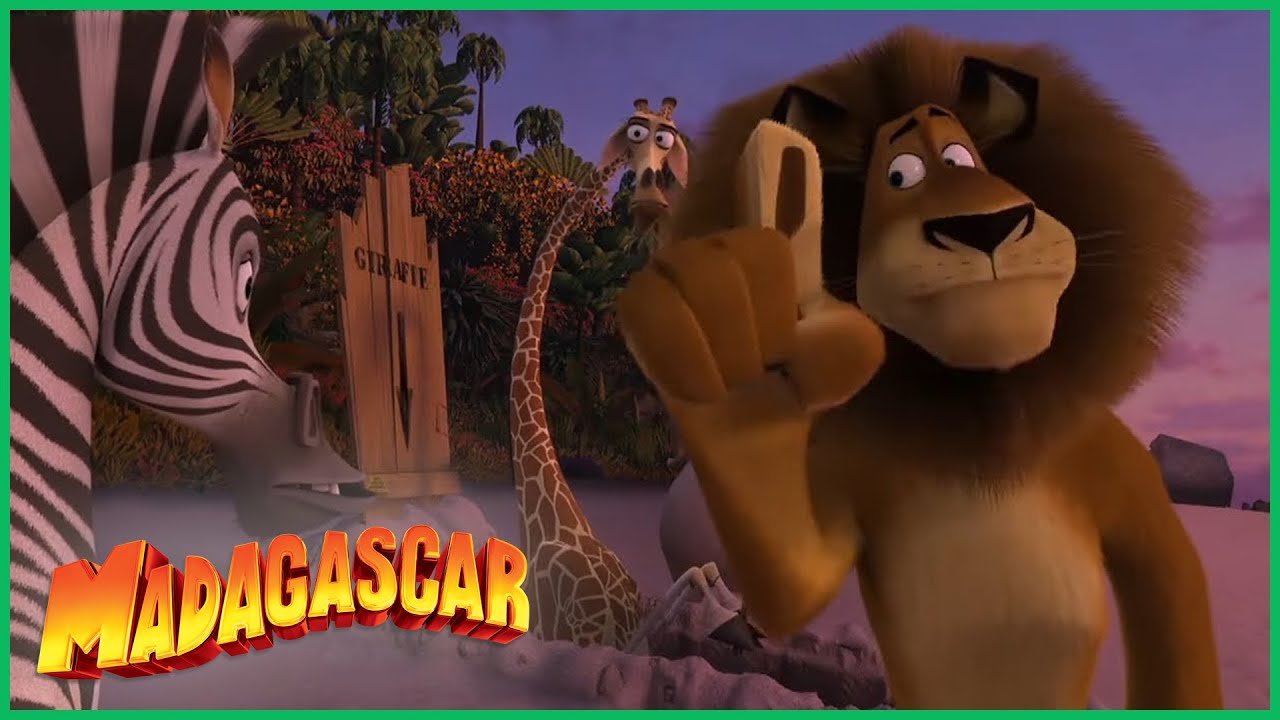DreamWorks Madagascar em Português | Dividindo a Ilha | Desenhos Animados