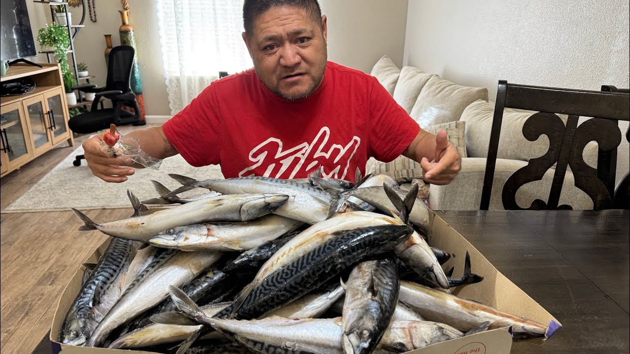 MACKERELS FOR A MONTH OR TWO | YOU WON’T BELIEVE THE PRICE | way worth the money 😲🤯