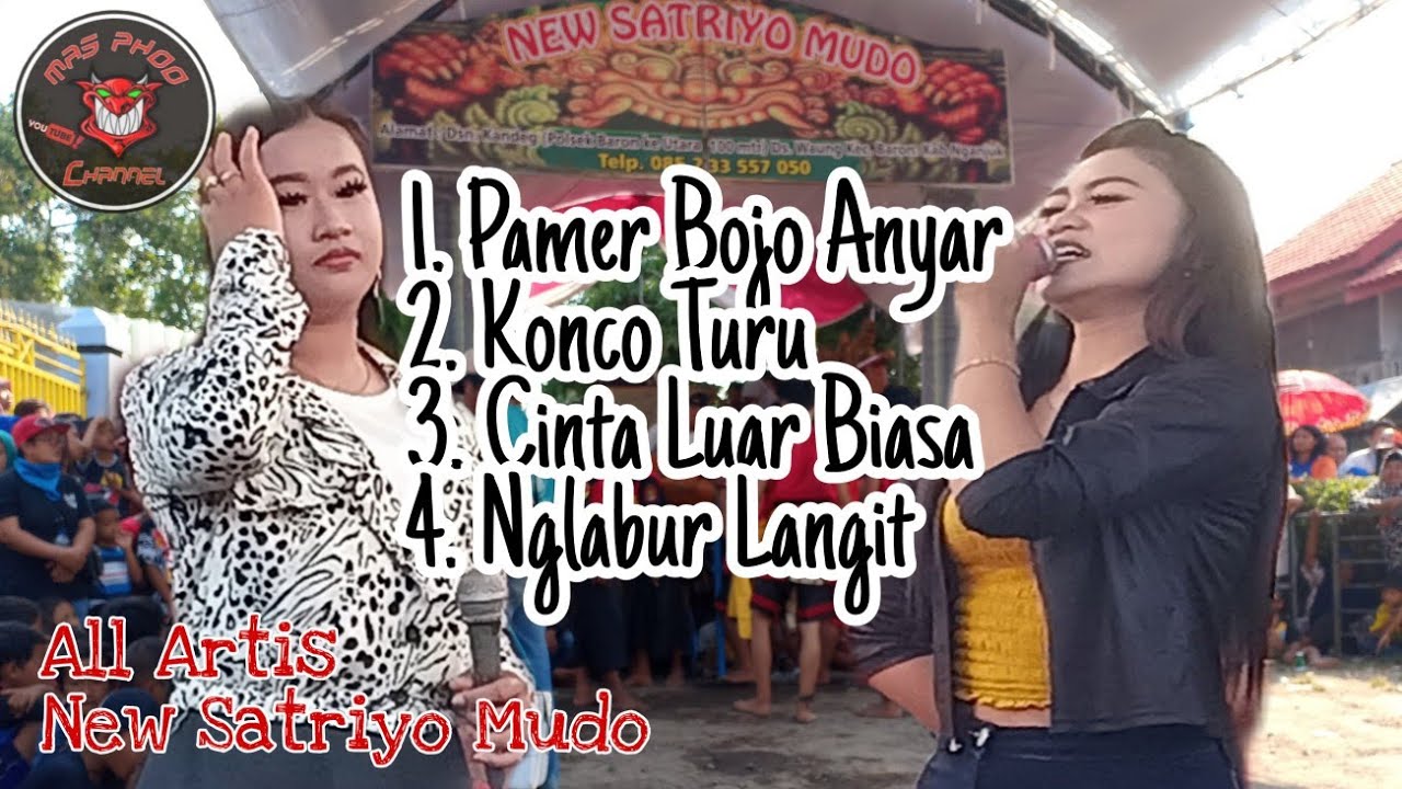 All Artis NEW SATRIYO MUDO LIVE PALDAPLANG WARUJAYENG