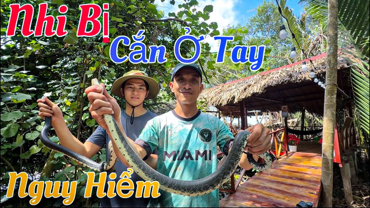 Vừa Chạy Ra Thì Nhi Đã Bị Cắn Vào Cổ Tay Ai Củng Hết Hồn | Tình Người Miền Tây