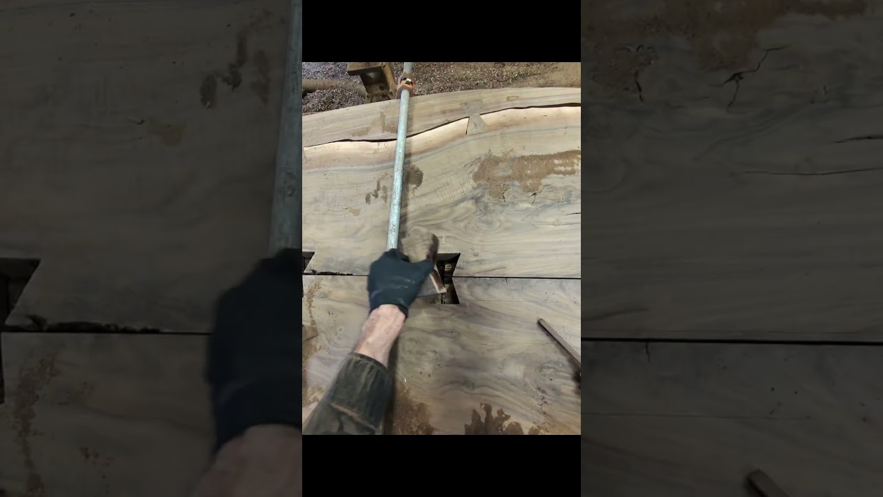 Oval 528 flattened and dogos work 