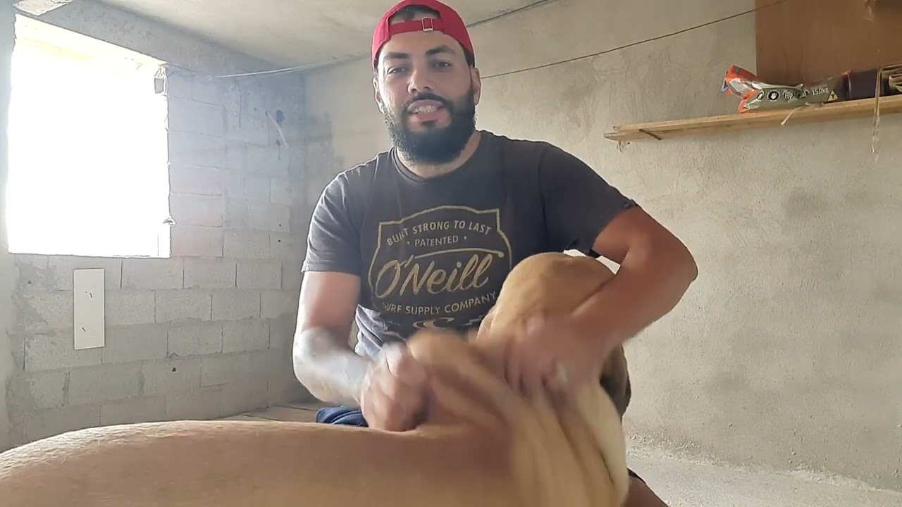 Fila Brasileiro