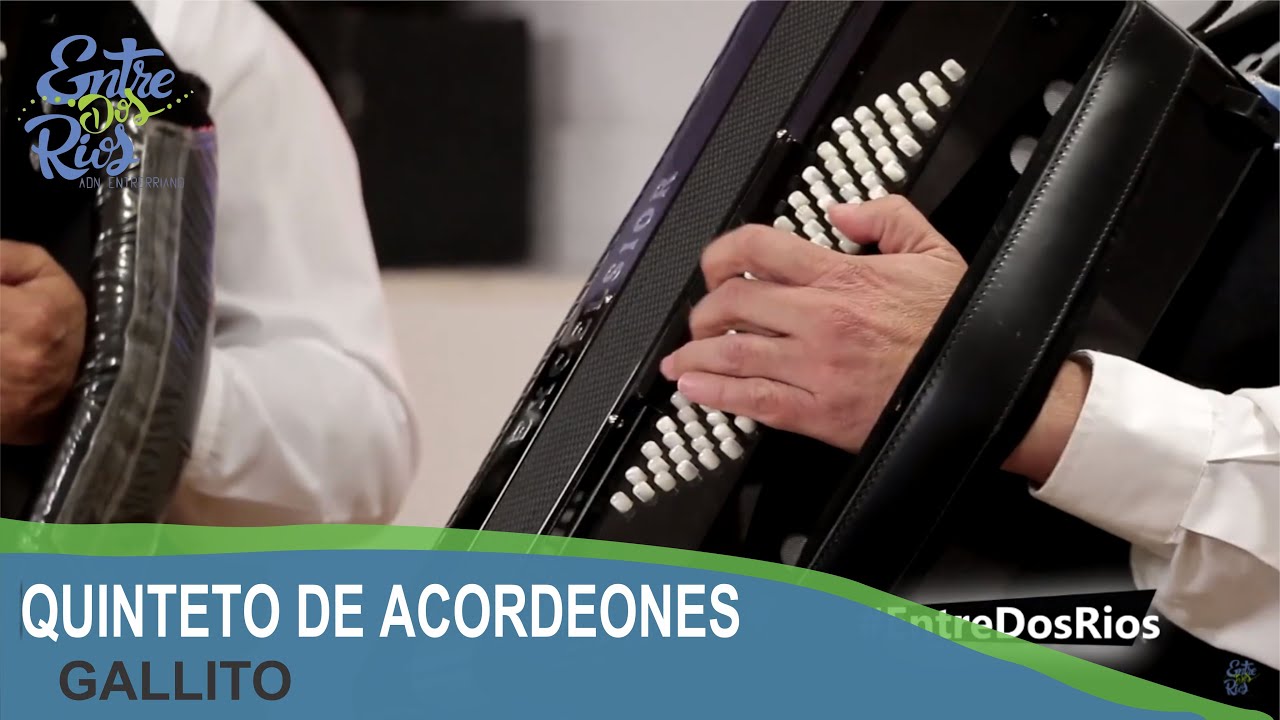 QUINTETO DE ACORDEONES 