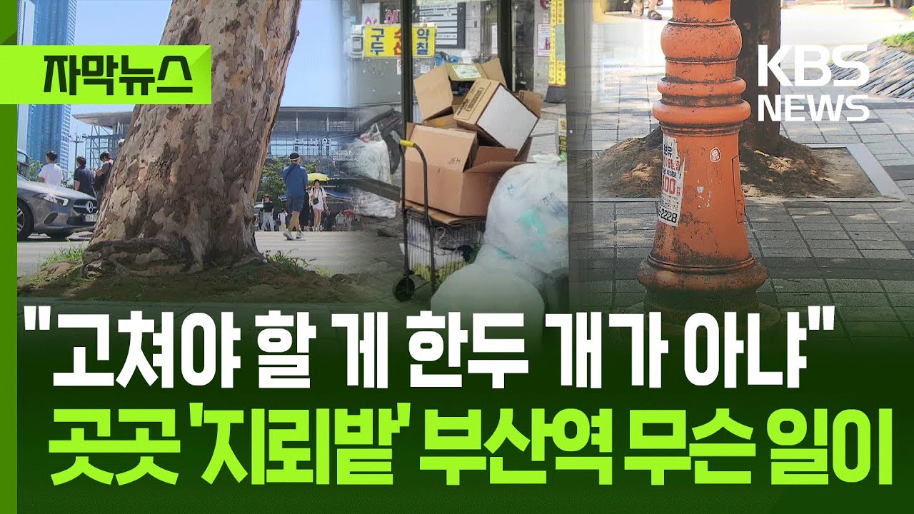 [자막뉴스] 