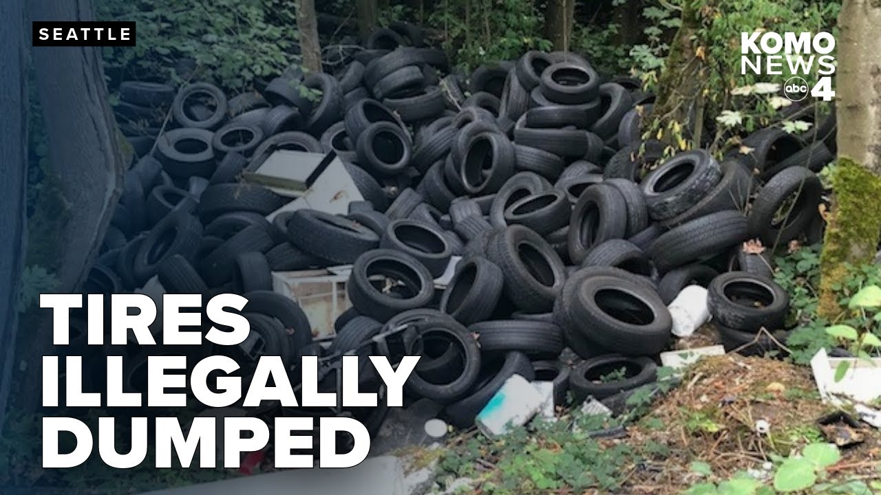 Hundreds of tires found illegally dumped in West Seattle greenbelt, cleanup underway