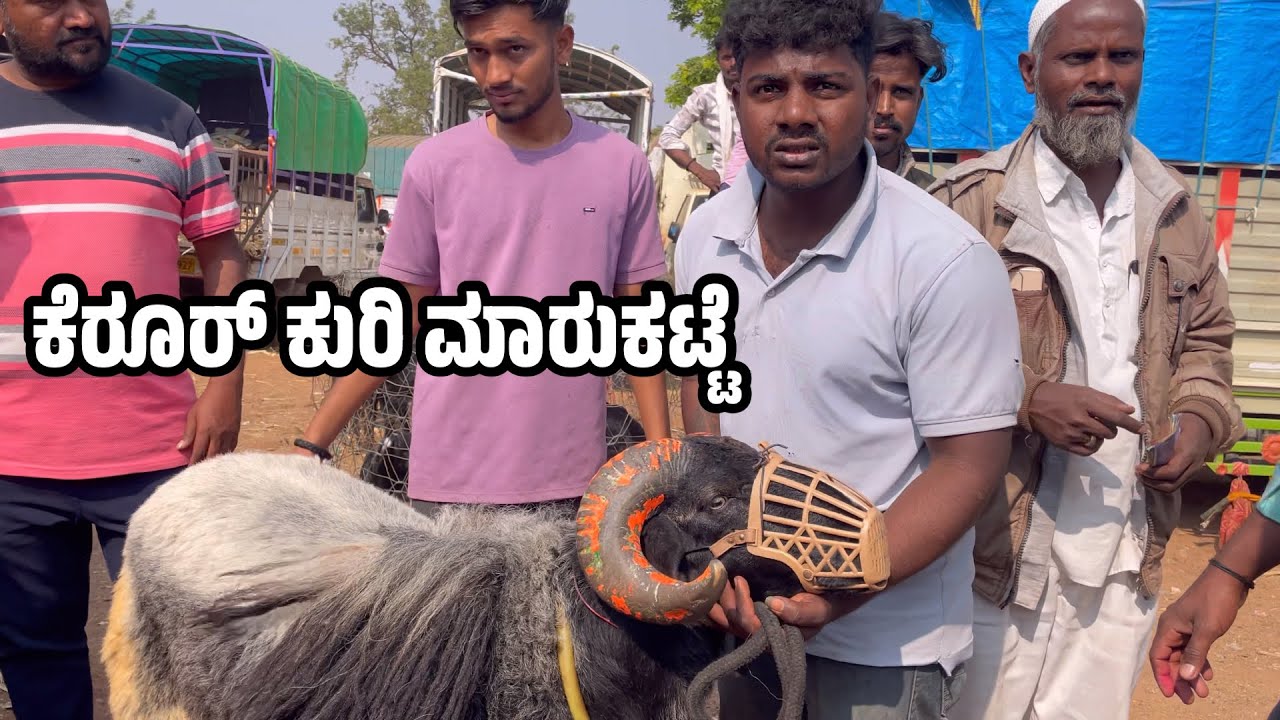 Kerur Sheep market 