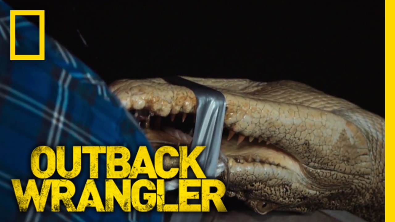 Late Night Crocs | Outback Wrangler
