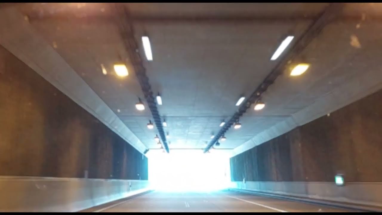 Ecopassage wildbrucke A7, Luxembourg