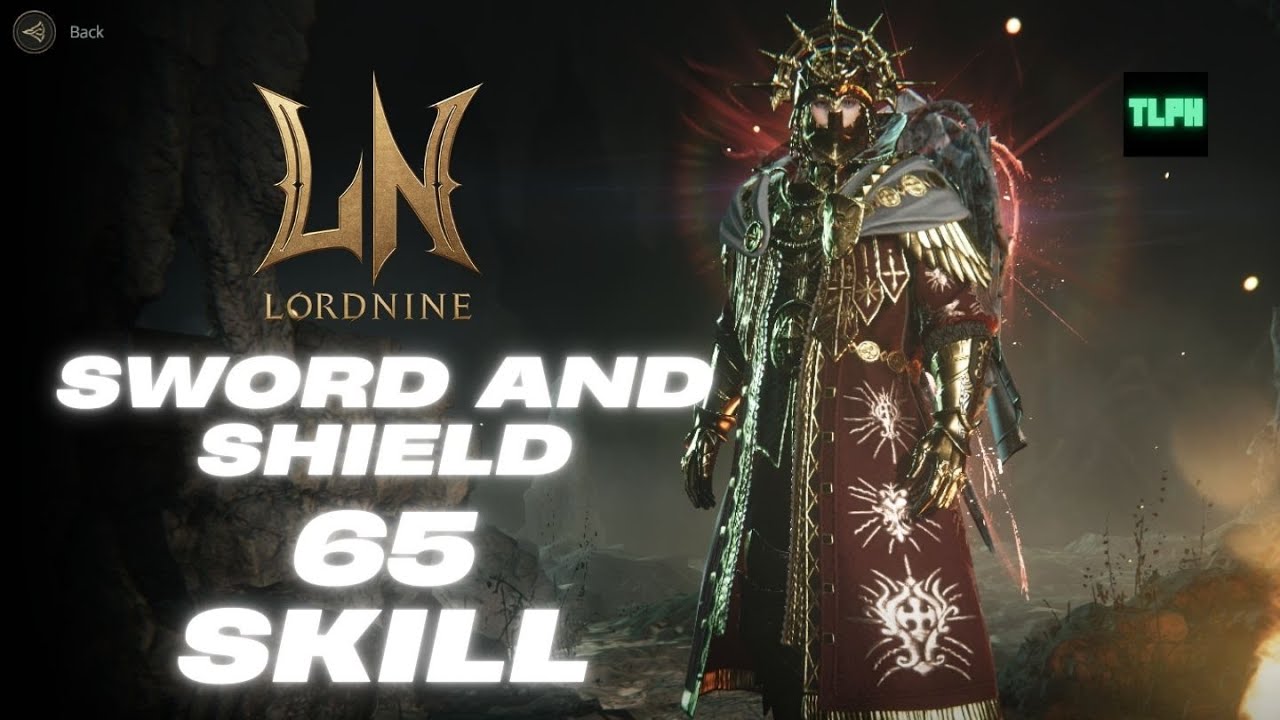 LORDNINE INFINITE CLASS : LVL 65 SWORD AND SHIELD SKILL