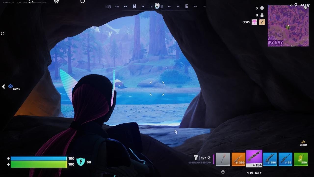 I HELD THE GNOME CAVE. Strategic gameplay VictoryRoyale 