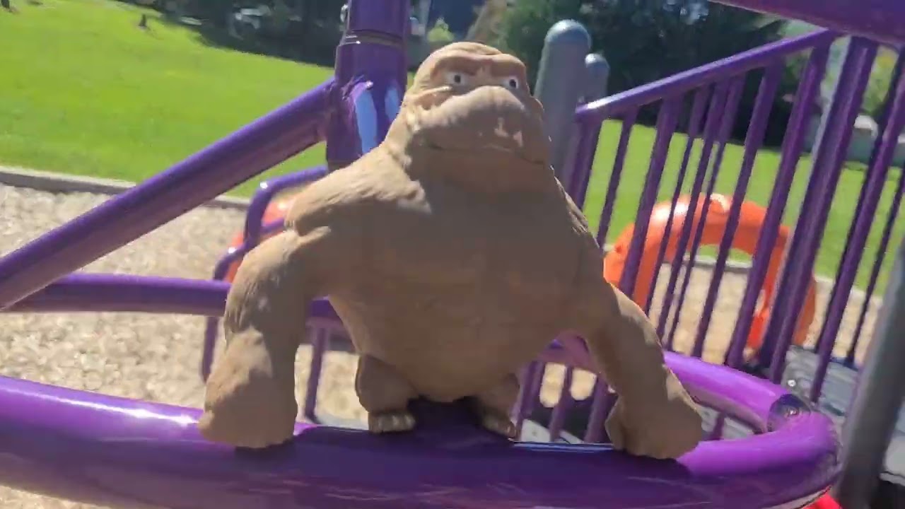 Monkey Adventures at the park