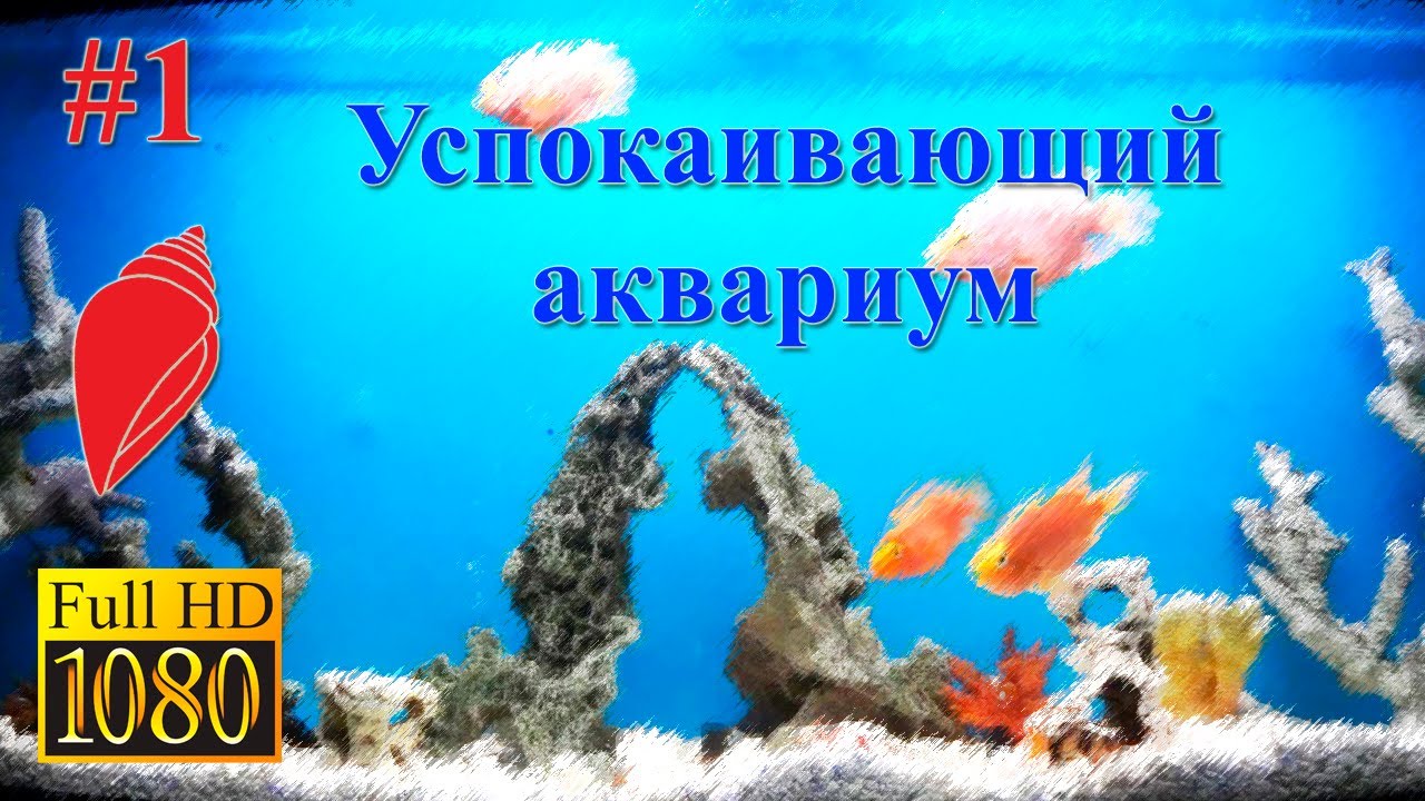 🐠Расслабляющий аквариум под звуки природы (1ч) | Relaxing aquarium with nature sounds (1p)