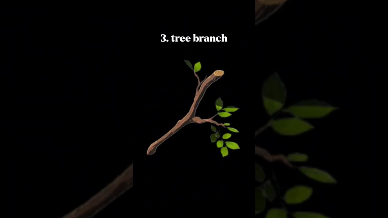 the WORST botw weapons... 