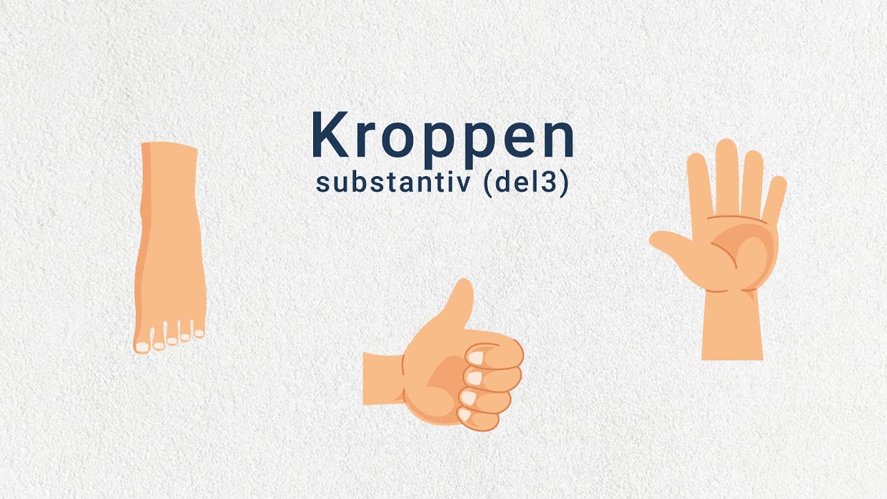Tema: Kroppen. Substantiv (Del3)