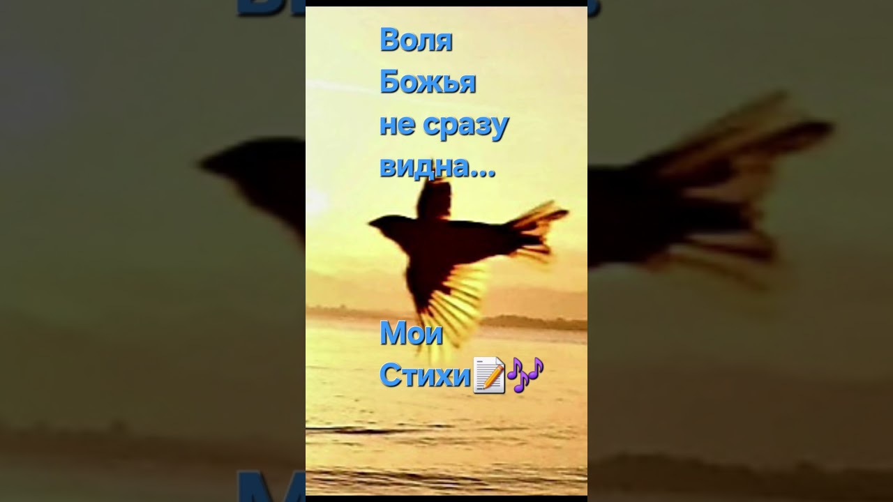 Воля Божья не сразу видна🙏