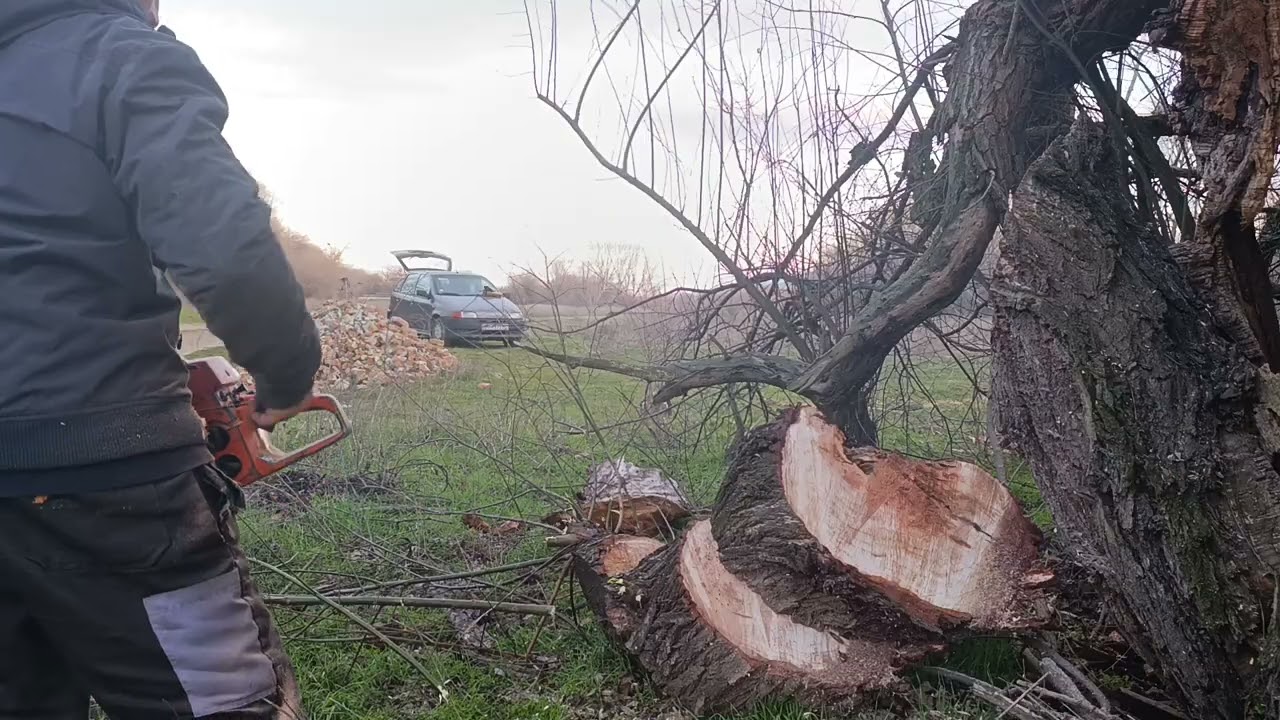 Husqvarna 298XP & Stihl 050AV