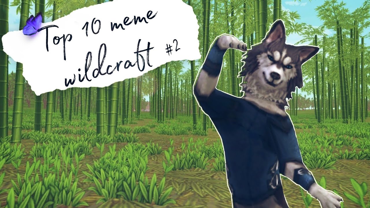 top 10 meme wildcraft #2