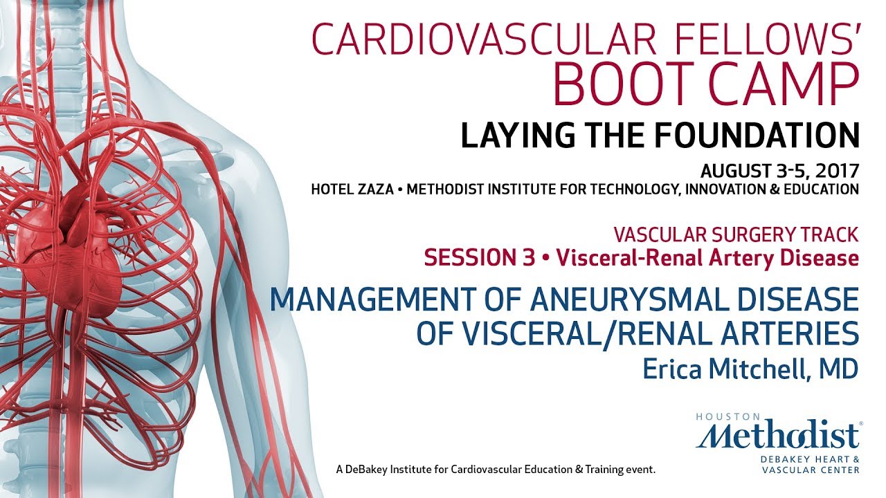 Management of Aneurysmal Disease of Visceral Renal Arteries (Erica Mitchell, MD)