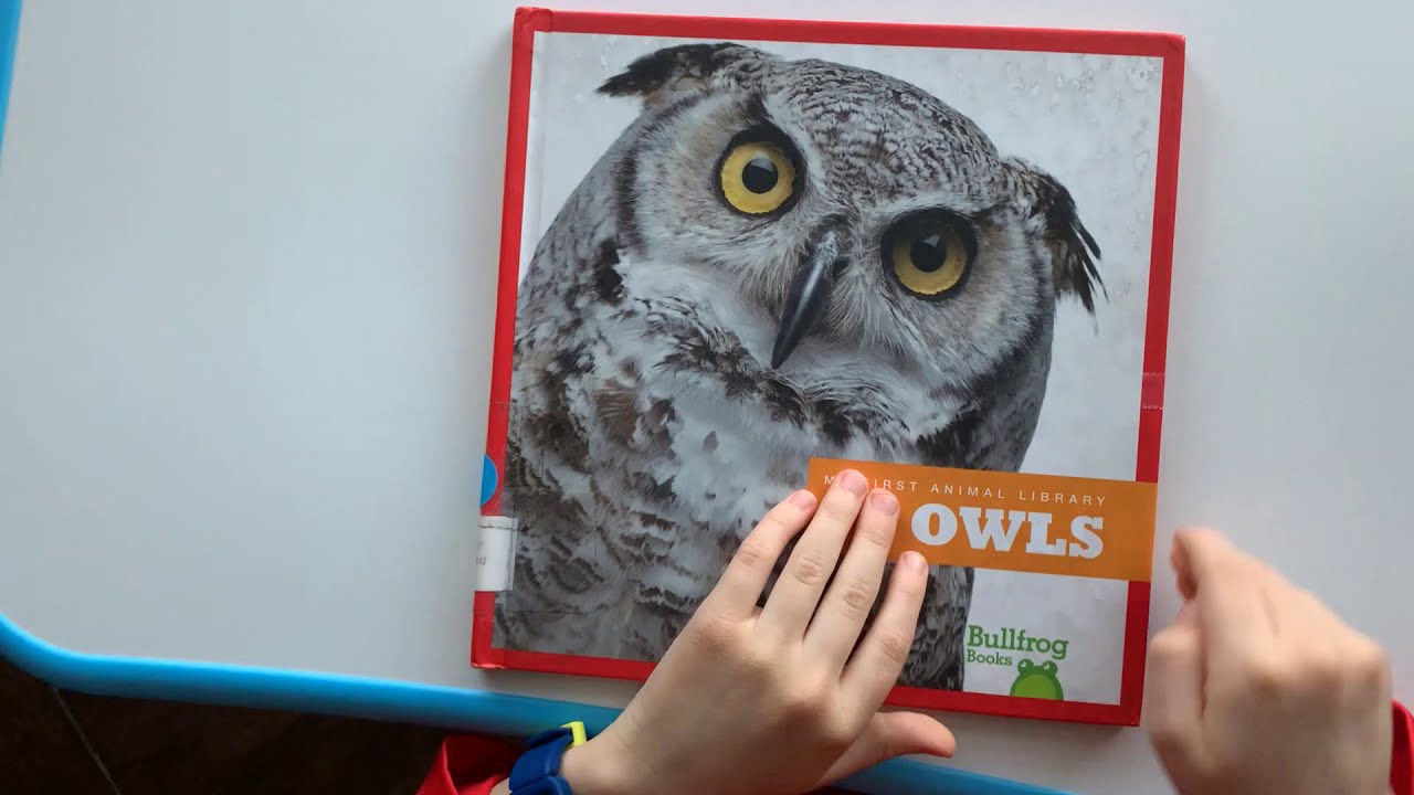 My First Animal Library Owls by Martha E H Rustad AR level 0.7 Quiz #161731