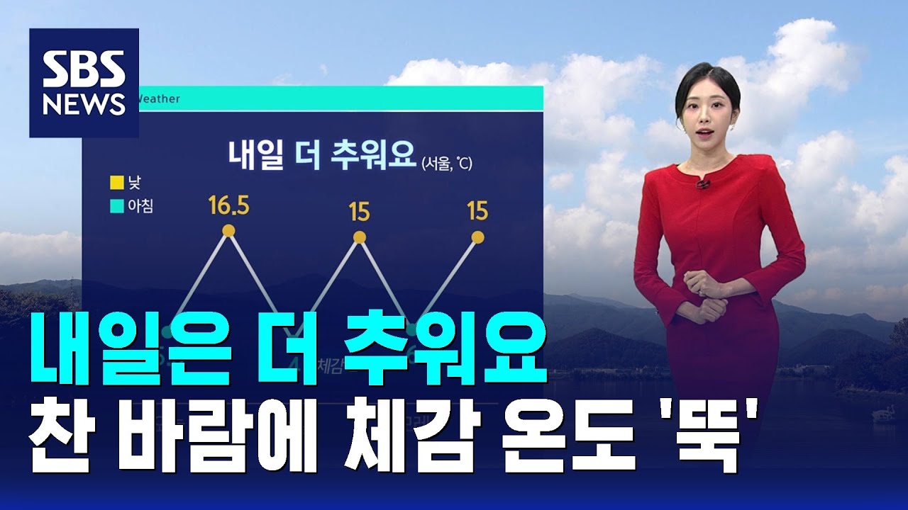 [날씨] 내일은 더 추워요…찬 바람에 체감 온도 '뚝' / SBS