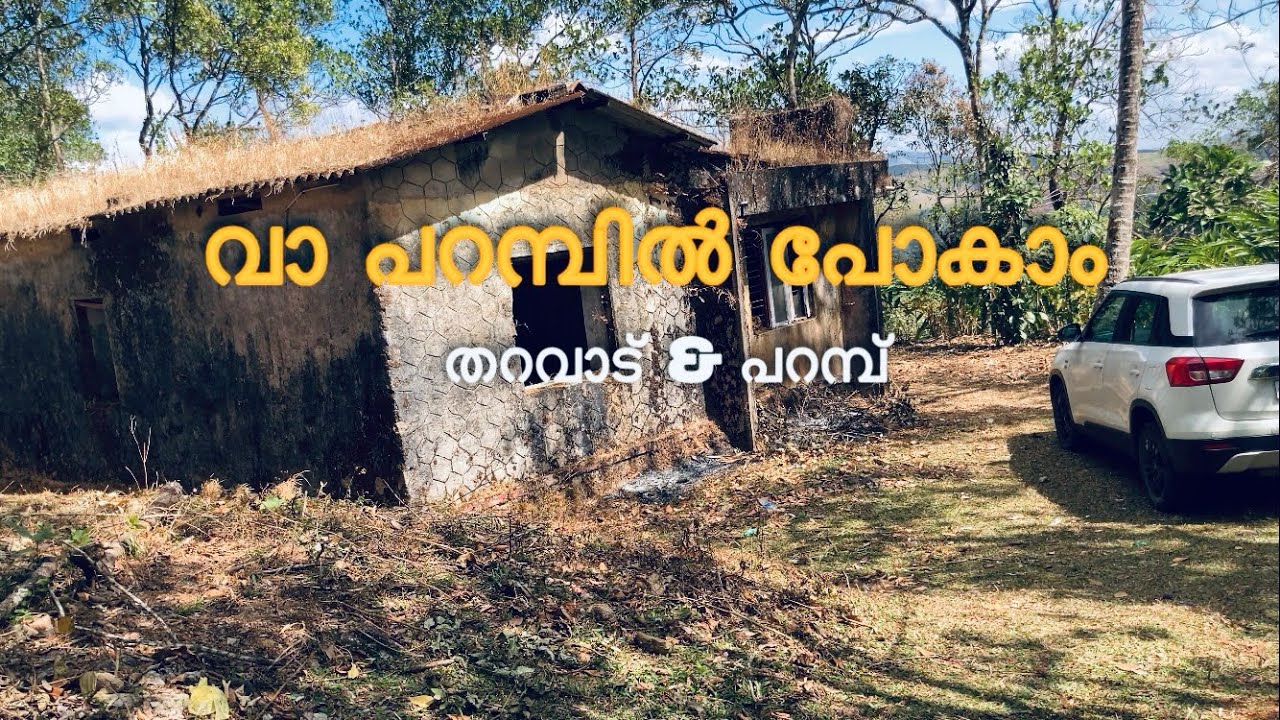 വാ പറമ്പിൽ പോകാം🍃😁|തറവാട്ടിൽ പോയി🏡പറമ്പിലെ കാപ്പിക്കുരു പറിക്കൽ|Old home visit filled with nostalgia