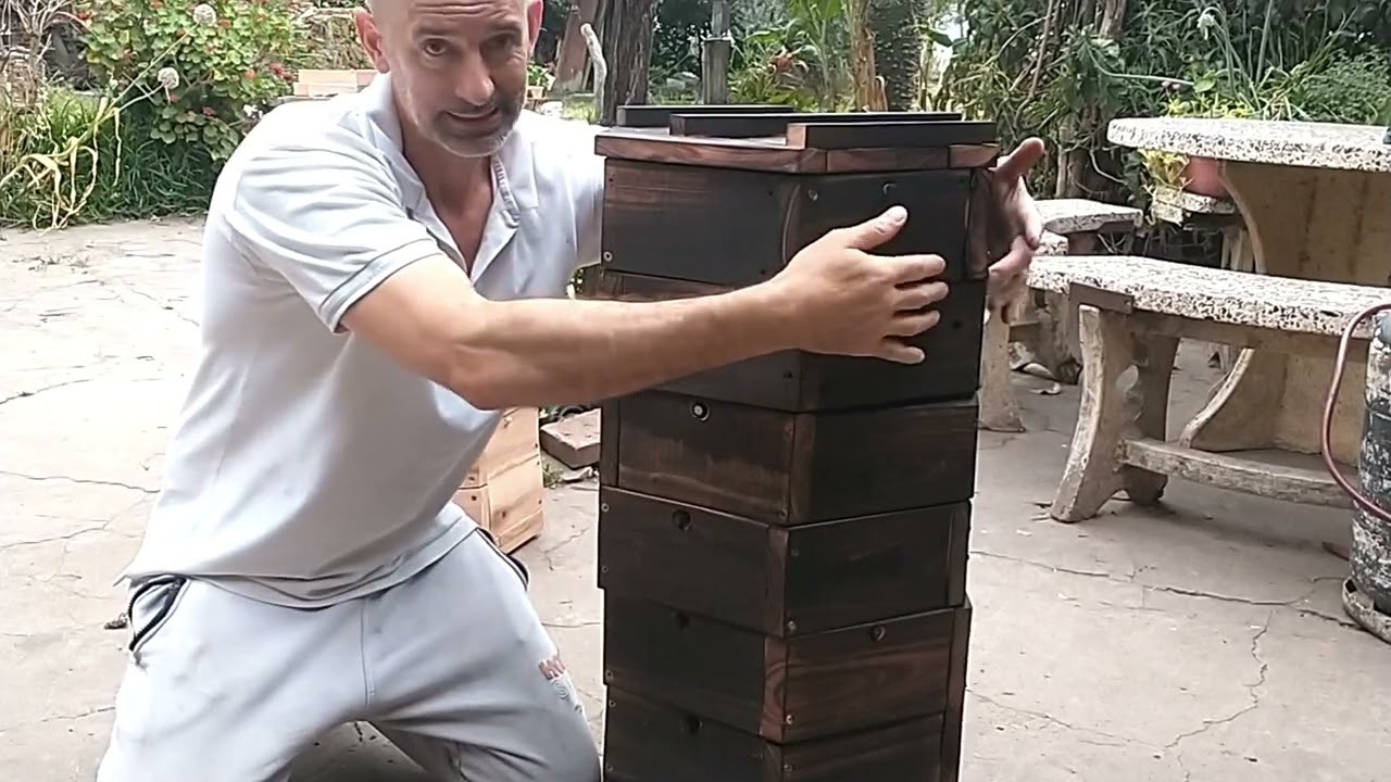 PERMAPICULTURA 4° VIDEO COMO FUNCIONA Y SE COSECHA UNA COLMENA PERONE O NICARAO