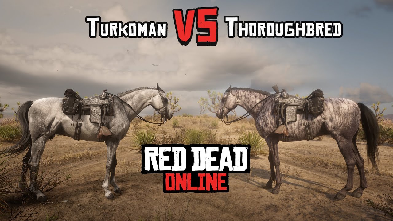 Turkoman (lvl.4) vs Thoroughbred (lvl.4) - Red Dead Online | Best Horse - Speed Test Stamina