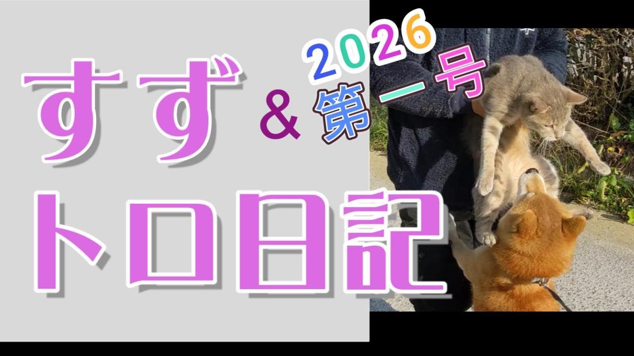 「すず＆盲目トロ」日記　初回号 ＃保護猫